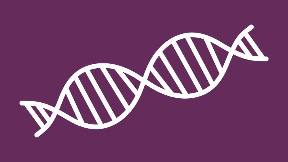 紫色背景上的DNA双螺旋的白色图标。