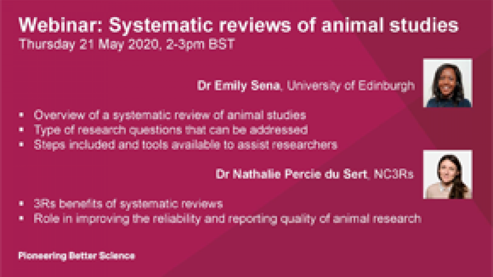 PowerPoint幻灯片显示了本网络研讨会的标题，以及Emily Sena博士和Nathalie Percie du Sert博士的头像