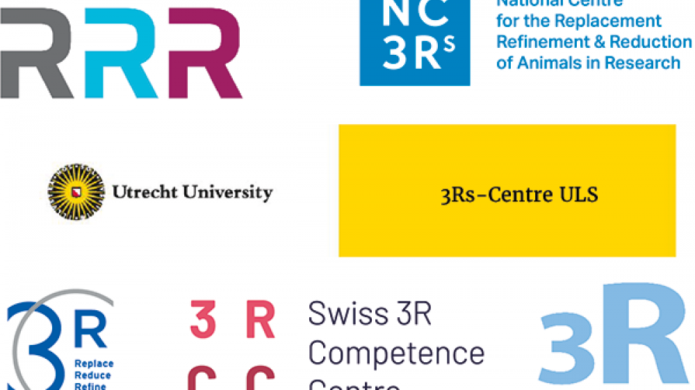 组织2020年网络研讨会系列的6个3Rs中心的标识。从左至右:第一排，丹麦3rs -中心，NC3Rs。第二排:乌得勒支大学3rs中心。最下面一排:3Rs CC, 3RCC瑞士3Rs能力中心，瑞典3Rs中心