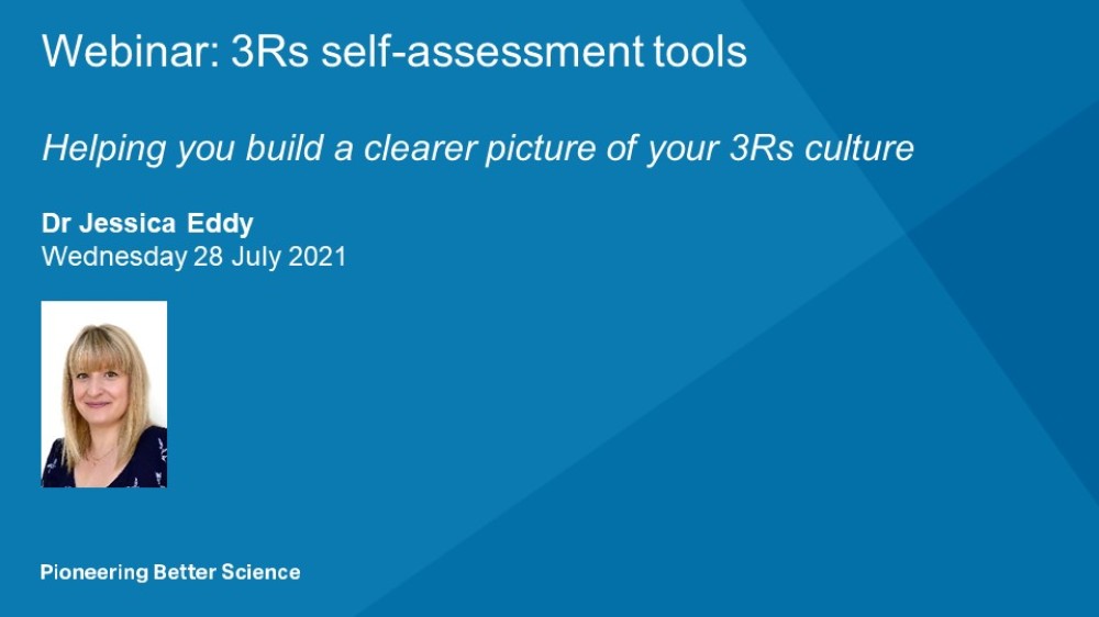 网络研讨会标题幻灯片：3RS自我评估工具