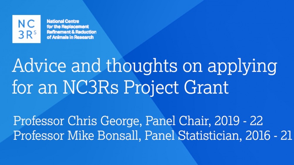 网络研讨会“申请NC3Rs项目资助的建议和思考”的开幕幻灯片