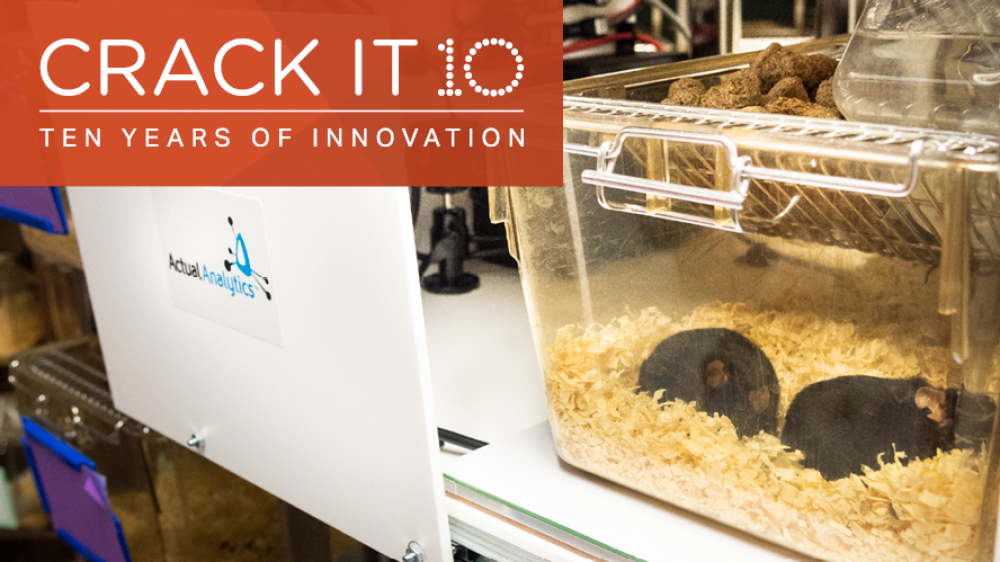 CRACK IT 10的标志叠加在一张老鼠的照片上，照片上的老鼠正在被Home cage Analyser工具监控