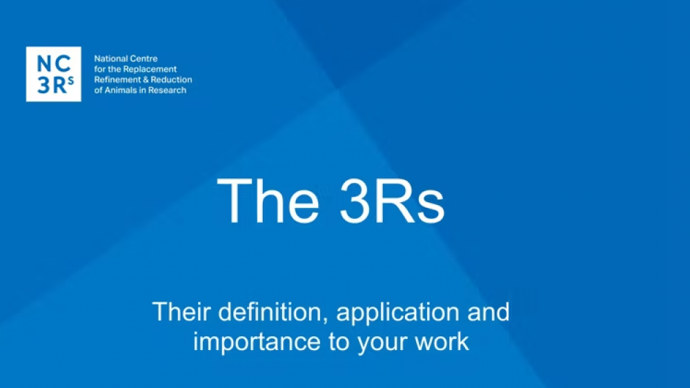 覆盖3RS培训网络研讨会的幻灯片。演讲的标题在蓝色背景上的白色文字中可以看到 -  3RS：它们对您的工作的定义，应用和重要性。