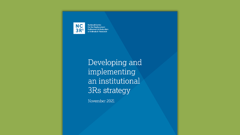 绿色背景上的“制定和实施机构3RS策略”文档的前封面。