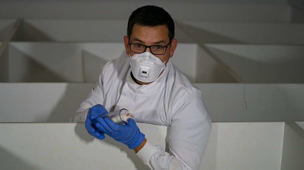 动物技术员约翰·沃特斯（John Waters）站在一个实验性的迷宫中，戴着PPE，将小鼠握在透明的塑料管中。