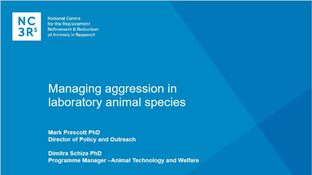 网络会议标题幻灯片:管理实验室动物物种的攻击性