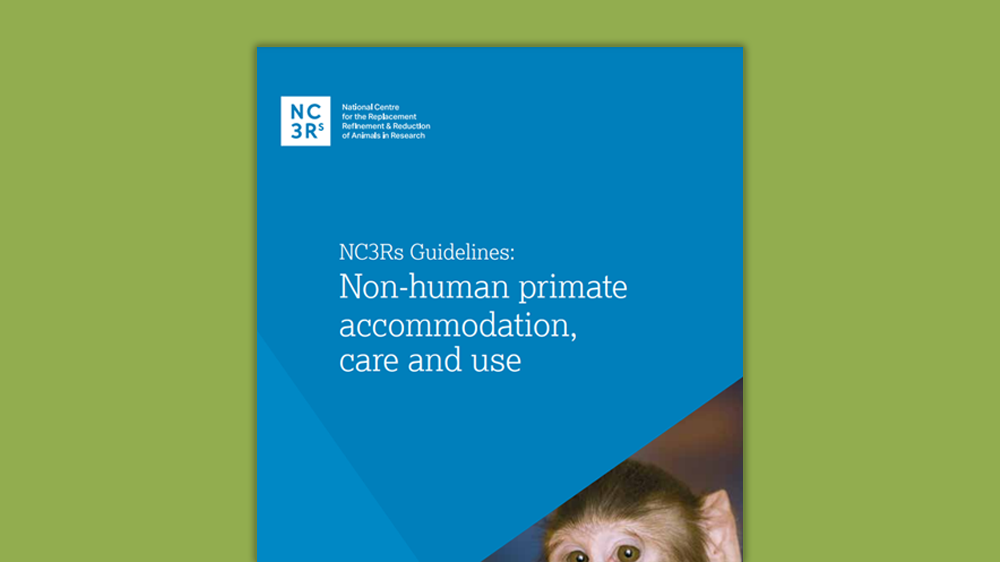 绿色背景上的“非人类灵长类动物住宿，护理和使用指南”的前封面。