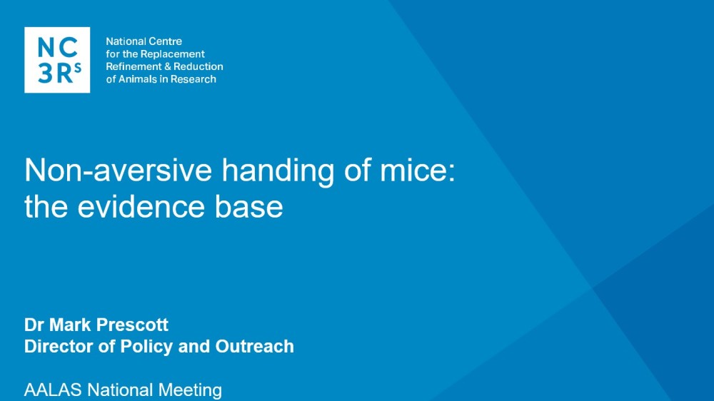 网络研讨会标题幻灯片:对老鼠的非厌恶性处理，证据基础