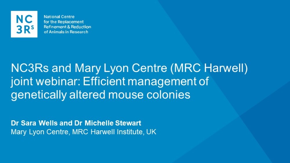 网络研讨会标题幻灯片:NC3Rs和玛丽·里昂中心(MRC Harwell)联合网络研讨会:转基因小鼠菌落的有效管理