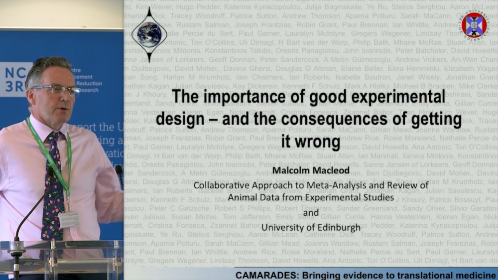 Malcolm MacLeod教授的网络研讨会演示的前幻灯片
