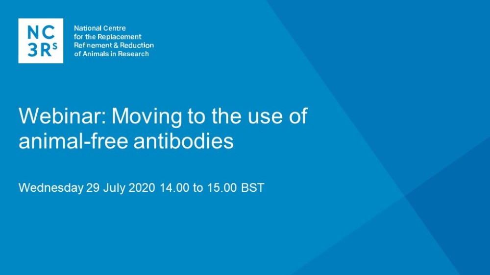 网络研讨会标题幻灯片：移至无动物抗体的使用