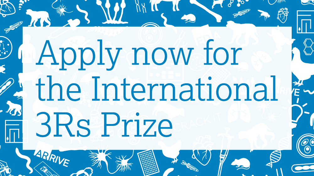 “现在申请国际3R奖”在蓝色背景上，与表示NC3RS的工作的白色图标（例如小鼠，细胞，器官）