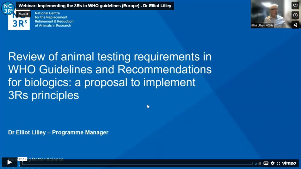 标题幻灯片:审查世卫组织生物制剂指南和建议中的动物试验要求:实施3Rs原则的建议