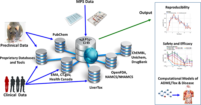微生理系统数据库的数据输入和输出流程图