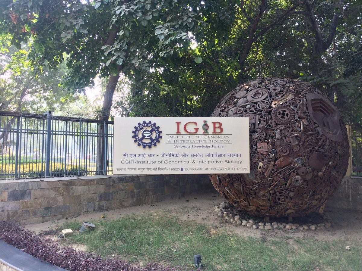 IGIB的标志