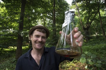 罗宾·威廉姆斯教授拿着一个锥形瓶的盘基菌的画像