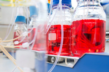 四瓶培养基，在实验室环境中。